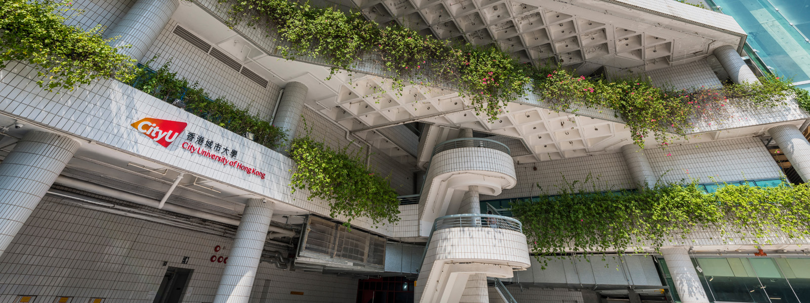 City University of Hong Kong